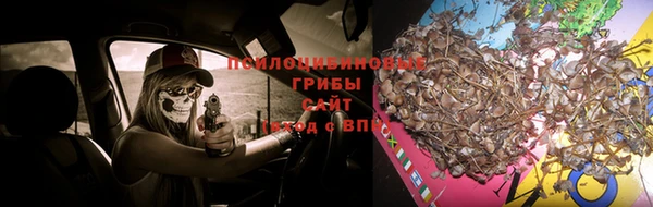 трава Нефтегорск