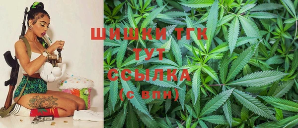 стаф Балахна
