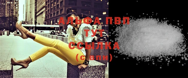 стаф Балахна