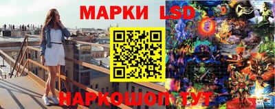 mdpv Новозыбков