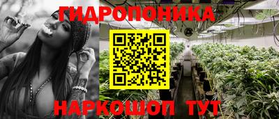 стафф Новокубанск