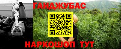 стафф Новокубанск