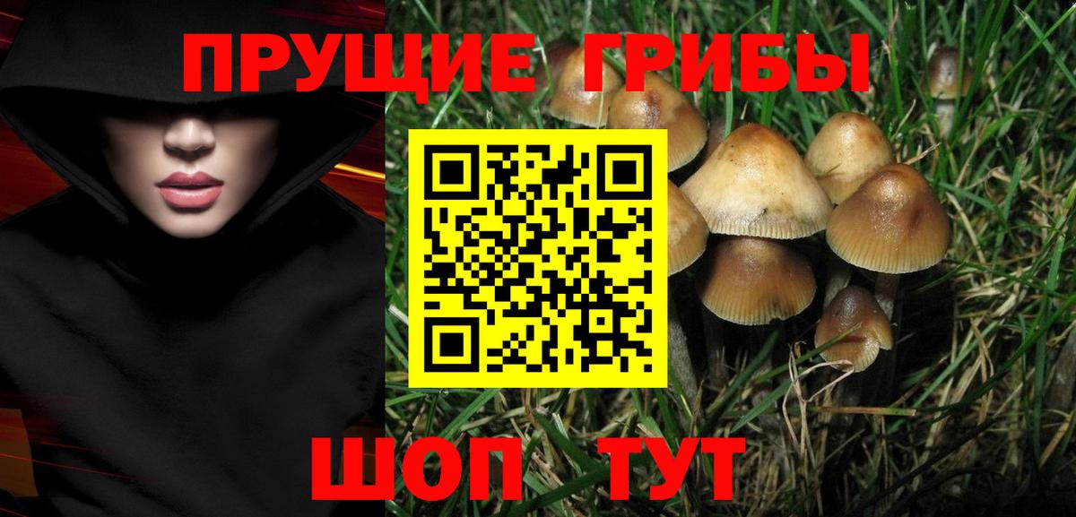Ульяновск  Псилоцибиновые грибы MAGIC MUSHROOMS  Псилоцибиновые грибы прущие грибы  Вход с VPN 